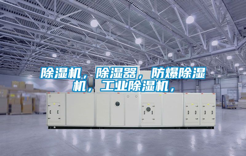 除濕機，除濕器，防爆除濕機，工業(yè)除濕機，