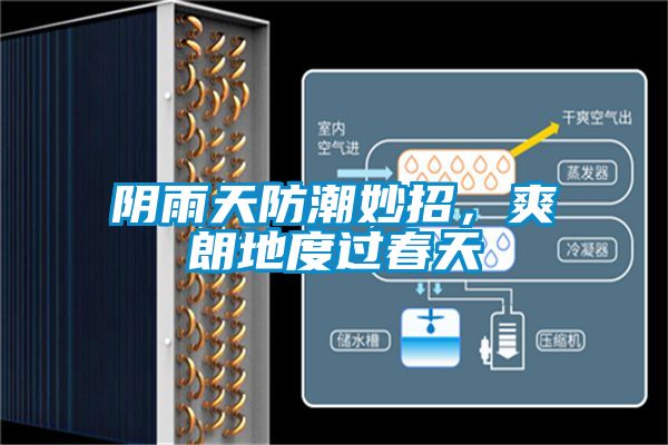 陰雨天防潮妙招，爽朗地度過春天