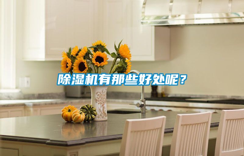 除濕機(jī)有那些好處呢？