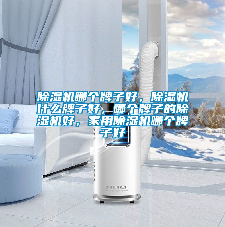 除濕機(jī)哪個(gè)牌子好，除濕機(jī)什么牌子好，哪個(gè)牌子的除濕機(jī)好，家用除濕機(jī)哪個(gè)牌子好