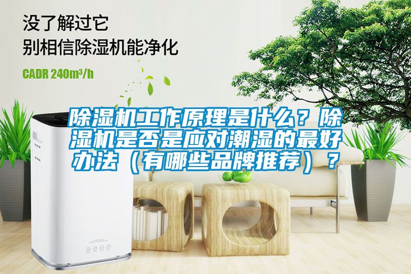 除濕機(jī)工作原理是什么？除濕機(jī)是否是應(yīng)對(duì)潮濕的最好辦法（有哪些品牌推薦）？