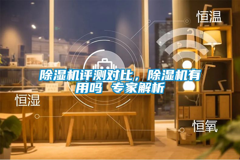 除濕機評測對比，除濕機有用嗎 專家解析