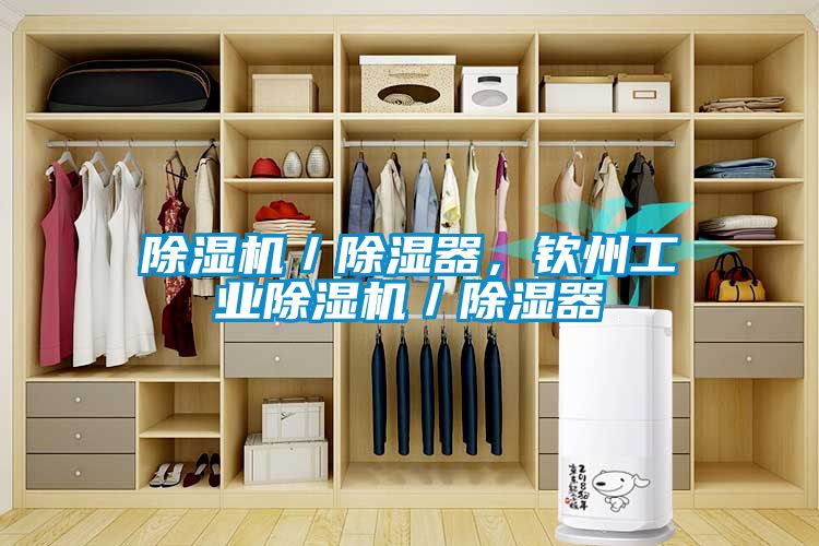 除濕機(jī)／除濕器，欽州工業(yè)除濕機(jī)／除濕器