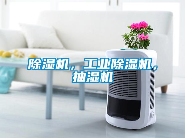 除濕機(jī)，工業(yè)除濕機(jī)，抽濕機(jī)