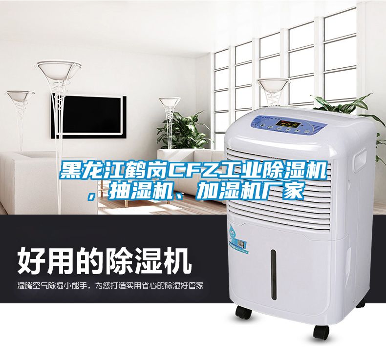 黑龍江鶴崗CFZ工業(yè)除濕機，抽濕機、加濕機廠家