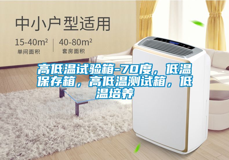 高低溫試驗(yàn)箱-70度，低溫保存箱，高低溫測(cè)試箱，低溫培養(yǎng)