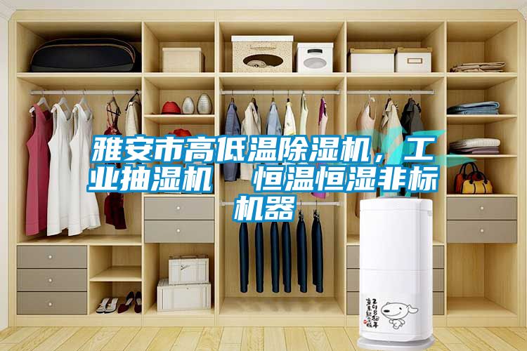 雅安市高低溫除濕機，工業(yè)抽濕機  恒溫恒濕非標機器