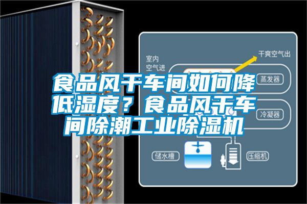 食品風(fēng)干車間如何降低濕度？食品風(fēng)干車間除潮工業(yè)除濕機