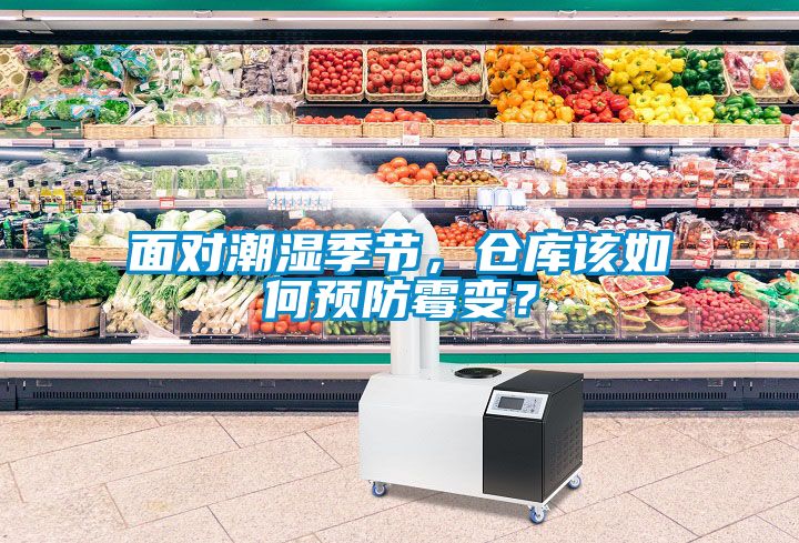面對潮濕季節(jié)，倉庫該如何預防霉變？