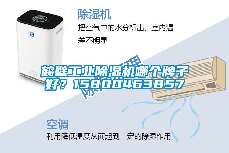鶴壁工業(yè)除濕機(jī)哪個(gè)牌子好？15800463857