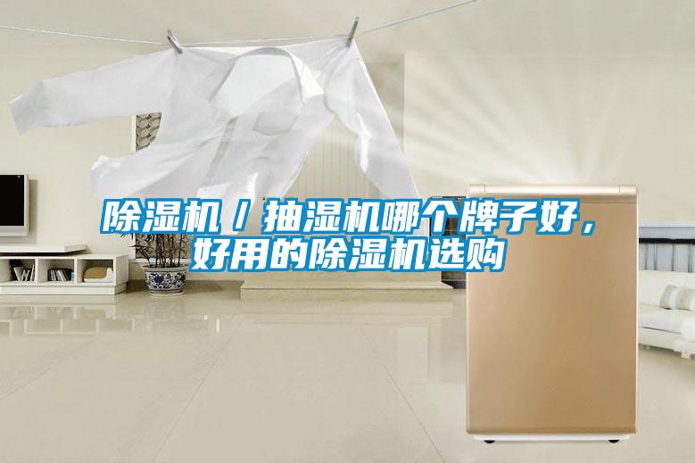 除濕機／抽濕機哪個牌子好，好用的除濕機選購