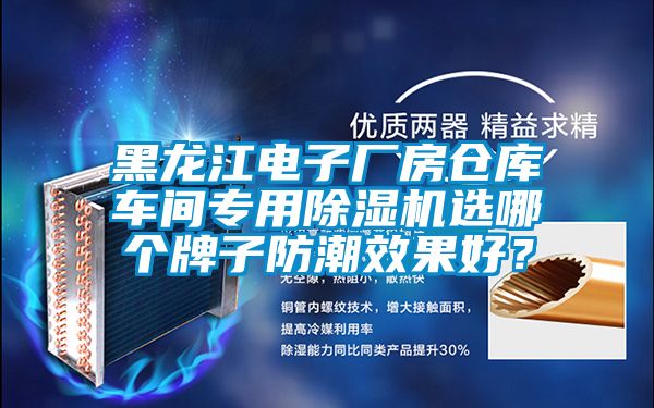 黑龍江電子廠房倉庫車間專用除濕機選哪個牌子防潮效果好？