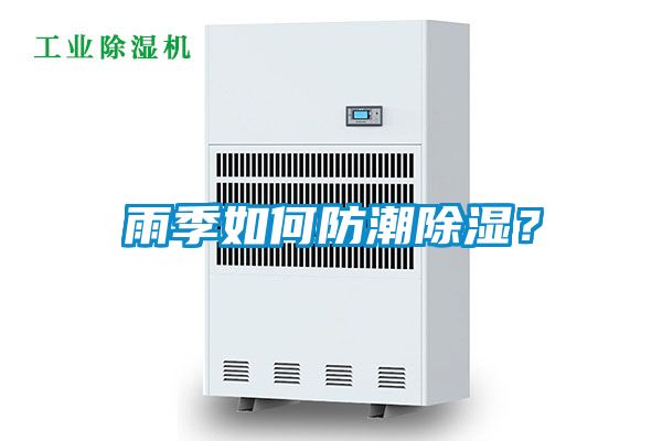 雨季如何防潮除濕？