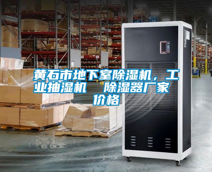 黃石市地下室除濕機(jī)，工業(yè)抽濕機(jī)  除濕器廠家 價(jià)格