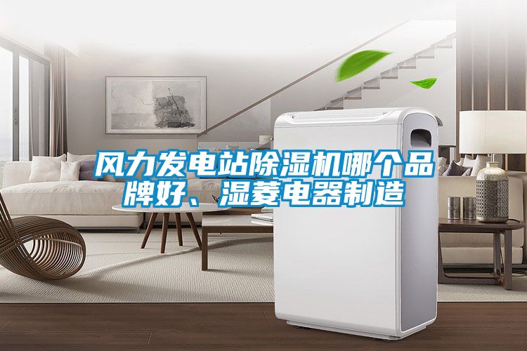 風(fēng)力發(fā)電站除濕機(jī)哪個(gè)品牌好、濕菱電器制造