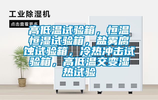 高低溫試驗箱，恒溫恒濕試驗箱，鹽霧腐蝕試驗箱，冷熱沖擊試驗箱，高低溫交變濕熱試驗