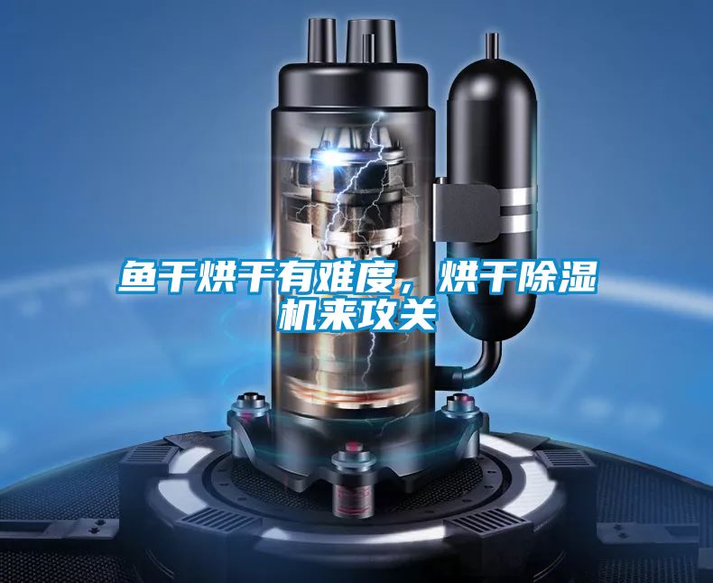 魚干烘干有難度，烘干除濕機來攻關(guān)