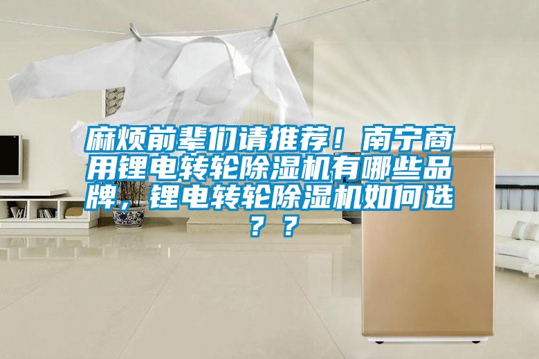 麻煩前輩們請推薦！南寧商用鋰電轉(zhuǎn)輪除濕機(jī)有哪些品牌，鋰電轉(zhuǎn)輪除濕機(jī)如何選？？
