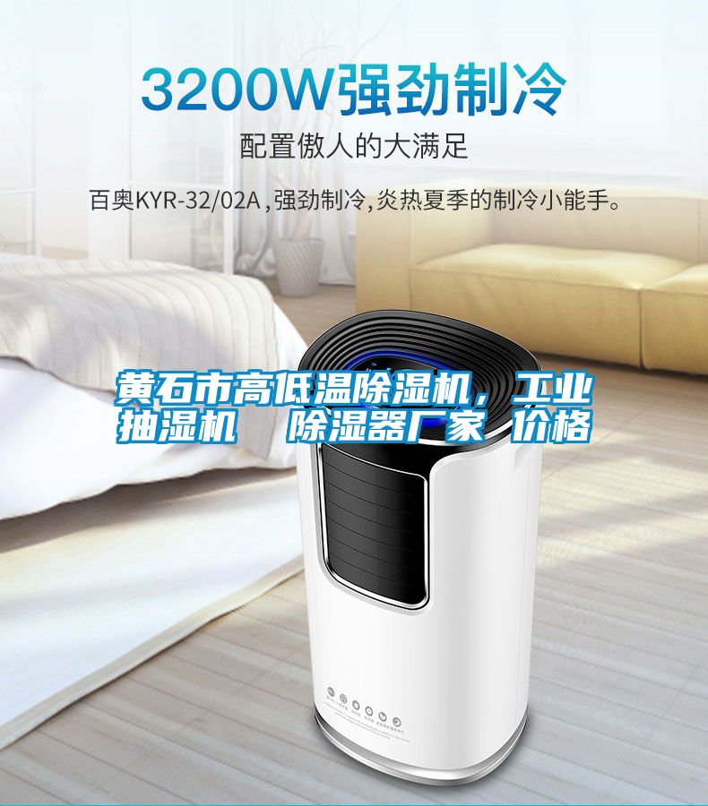黃石市高低溫除濕機，工業(yè)抽濕機  除濕器廠家 價格