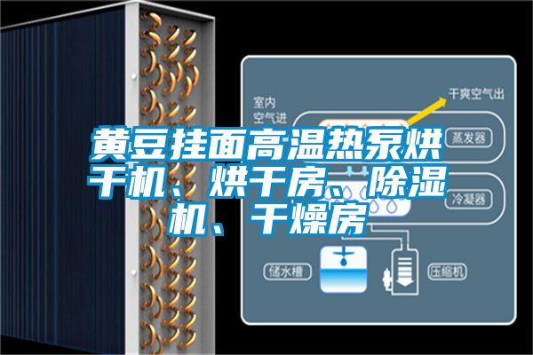黃豆掛面高溫?zé)岜煤娓蓹C(jī)、烘干房、除濕機(jī)、干燥房