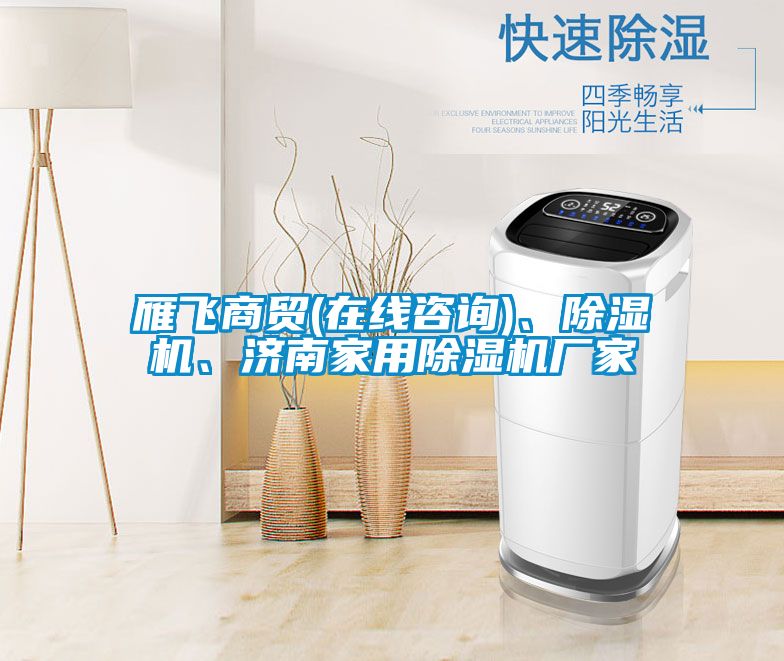 雁飛商貿(mào)(在線咨詢)、除濕機(jī)、濟(jì)南家用除濕機(jī)廠家