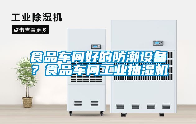 食品車間好的防潮設(shè)備？食品車間工業(yè)抽濕機(jī)