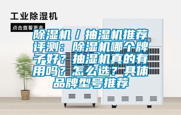 除濕機／抽濕機推薦評測：除濕機哪個牌子好？抽濕機真的有用嗎？怎么選？具體品牌型號推薦