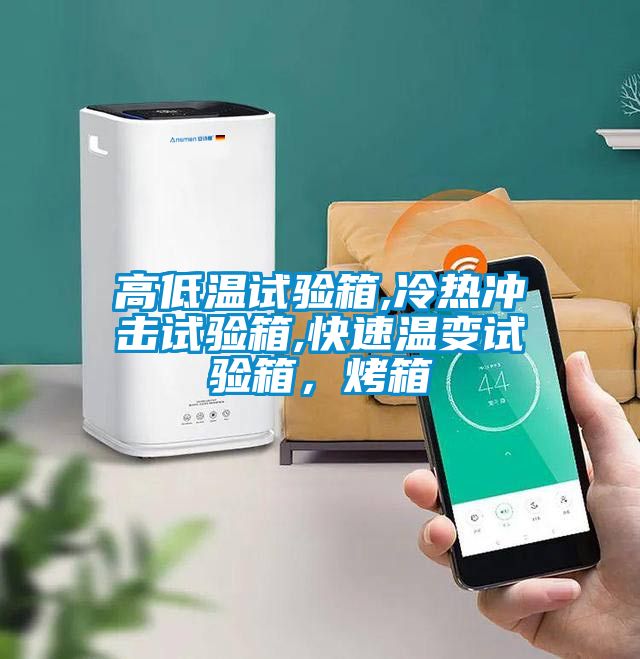 高低溫試驗(yàn)箱,冷熱沖擊試驗(yàn)箱,快速溫變?cè)囼?yàn)箱，烤箱