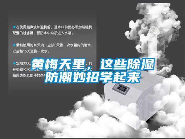 黃梅天里，這些除濕防潮妙招學(xué)起來