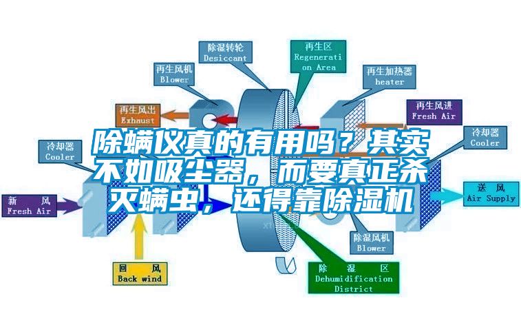 除螨儀真的有用嗎？其實(shí)不如吸塵器，而要真正殺滅螨蟲，還得靠除濕機(jī)