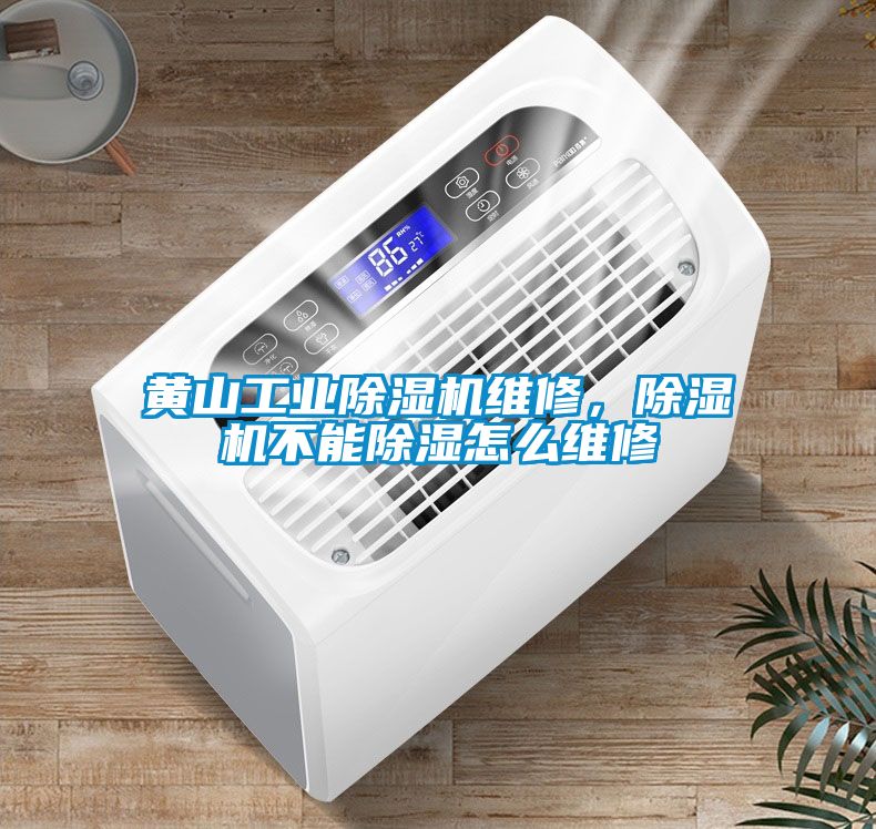 黃山工業(yè)除濕機(jī)維修，除濕機(jī)不能除濕怎么維修